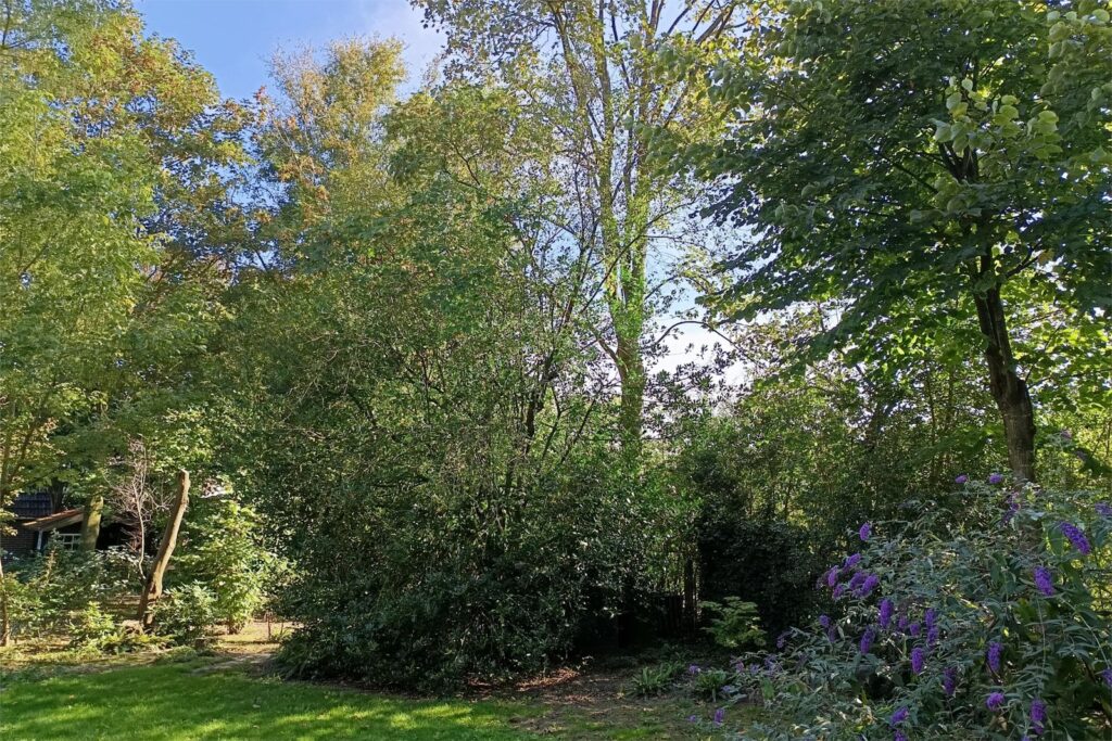 Houtweg 2