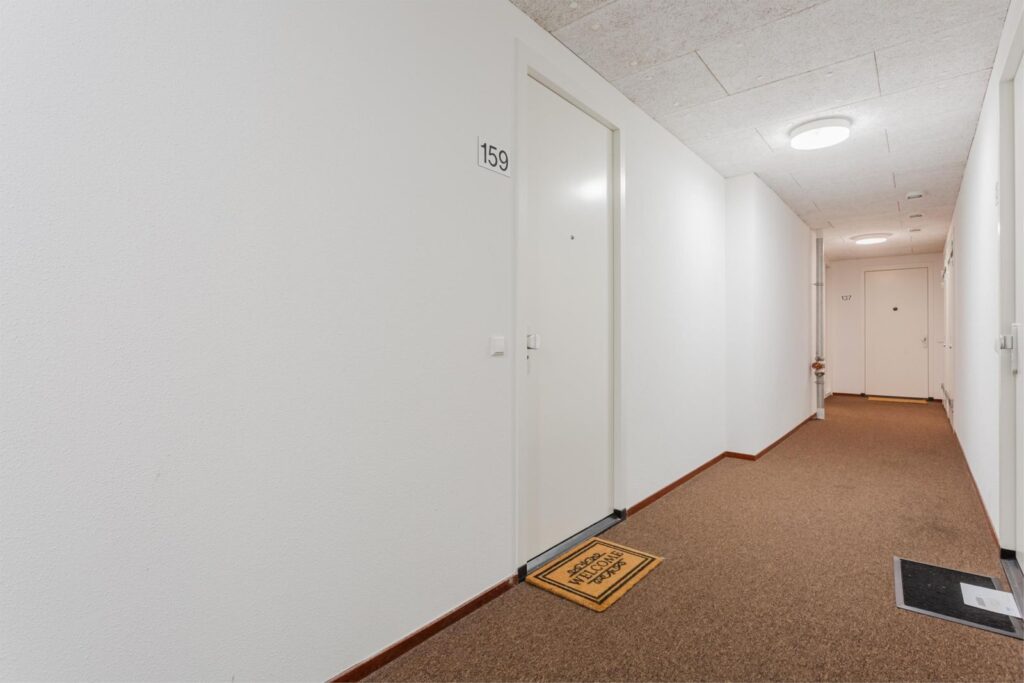 Rinus Michelslaan 159