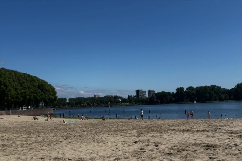 Rinus Michelslaan 159