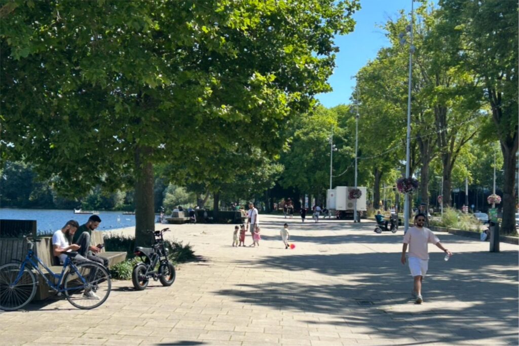 Rinus Michelslaan 159