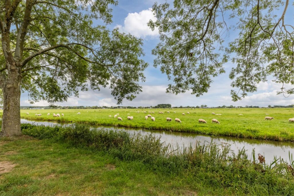 Johannes Vermeerhof 11