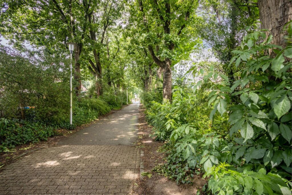 Weg door den Waterpot 29