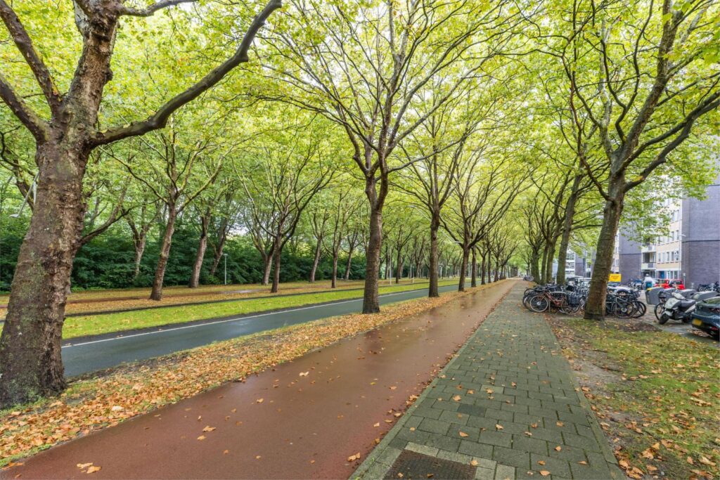 Van Nijenrodeweg 591