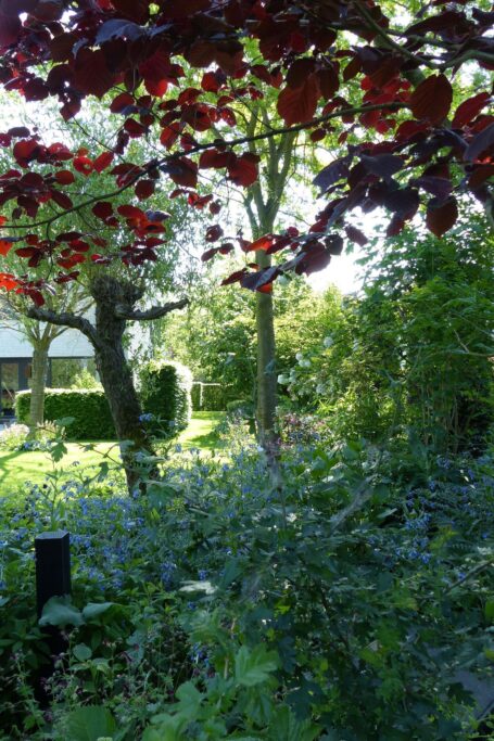 John Grosmanstraat 5