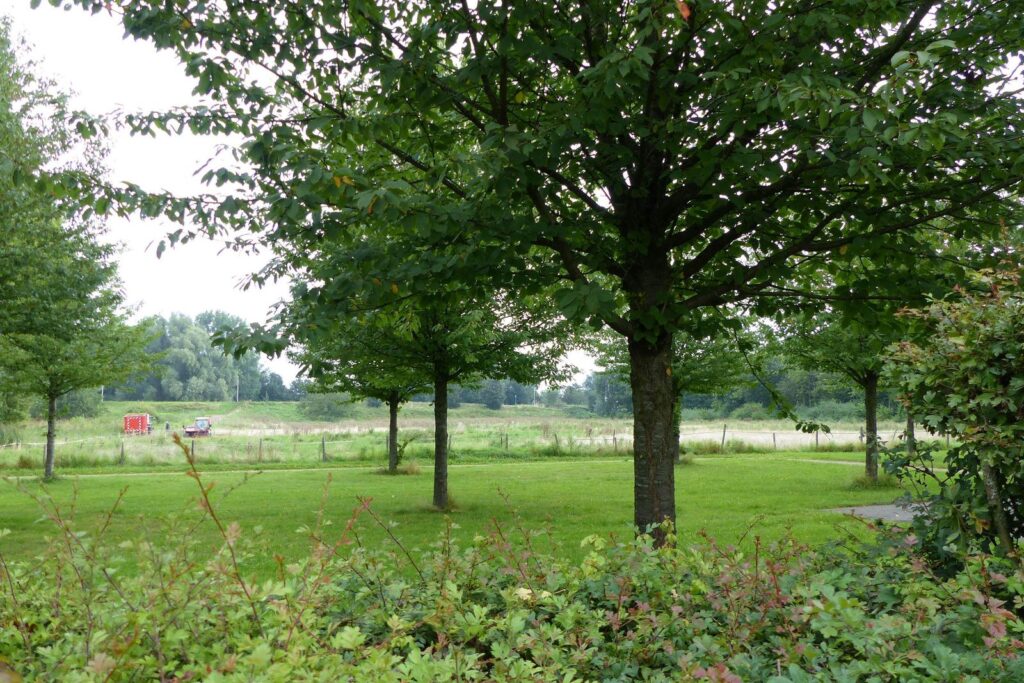 John Grosmanstraat 5