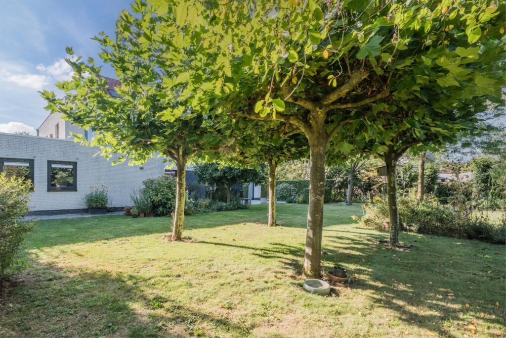 John Grosmanstraat 5