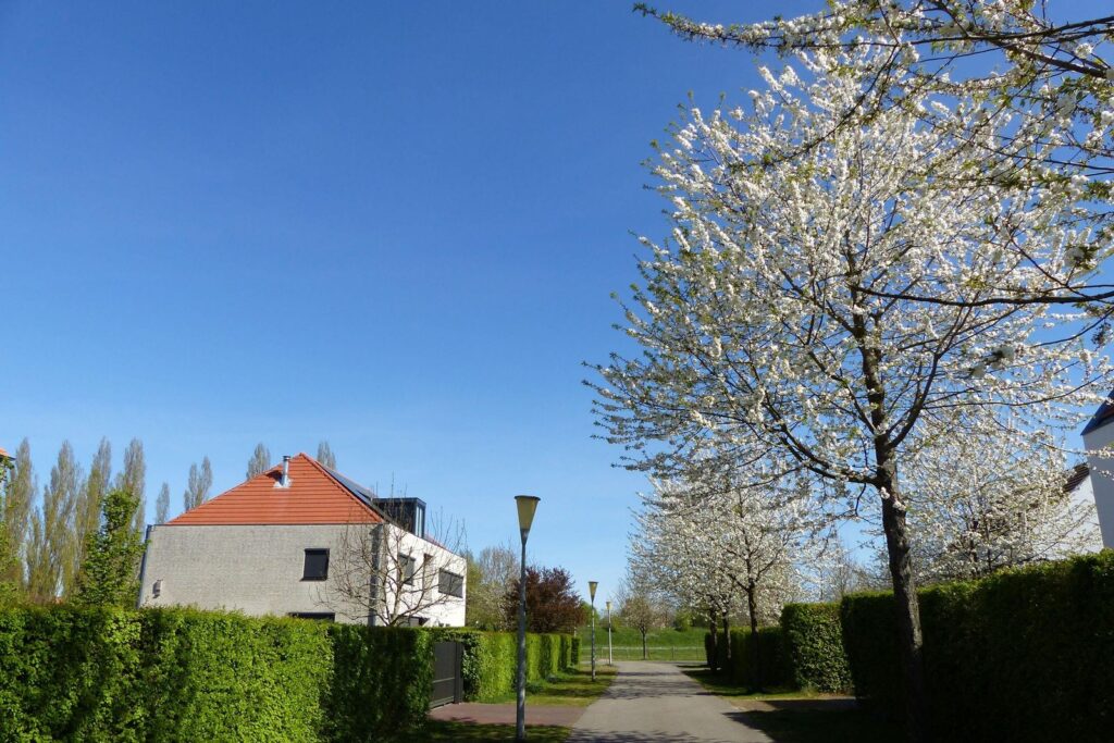 John Grosmanstraat 5