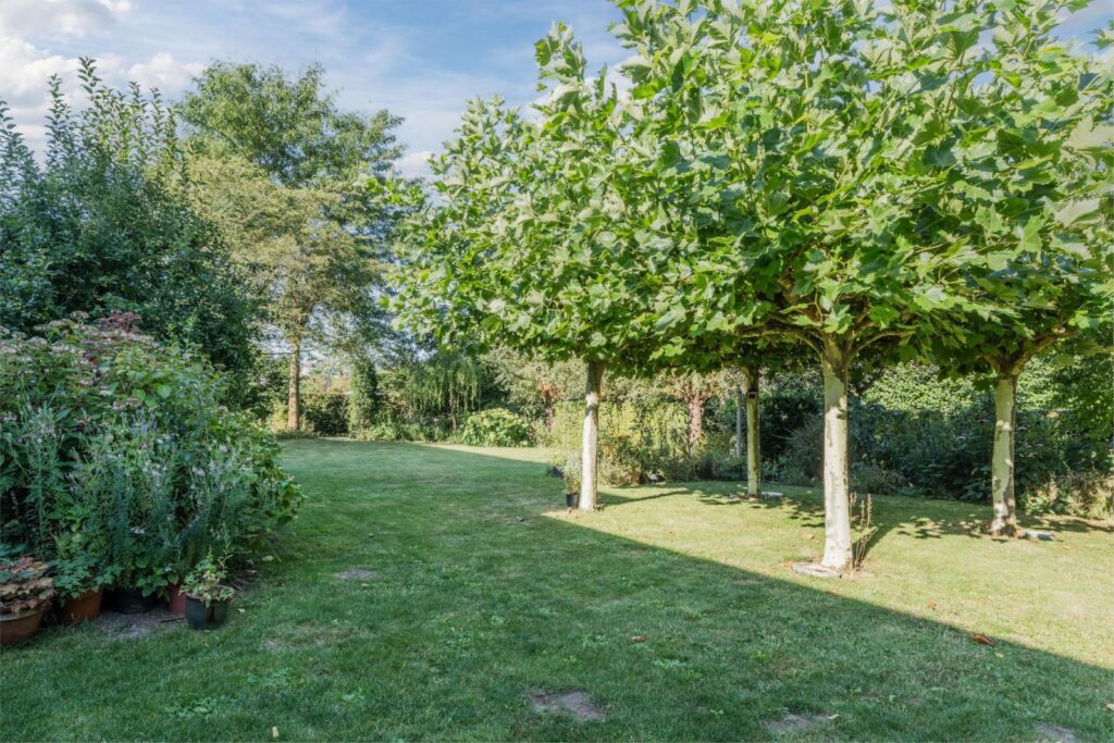 John Grosmanstraat 5