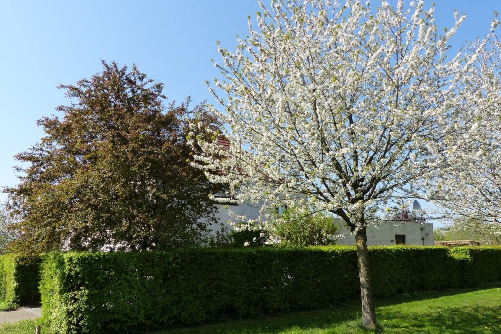 John Grosmanstraat 5