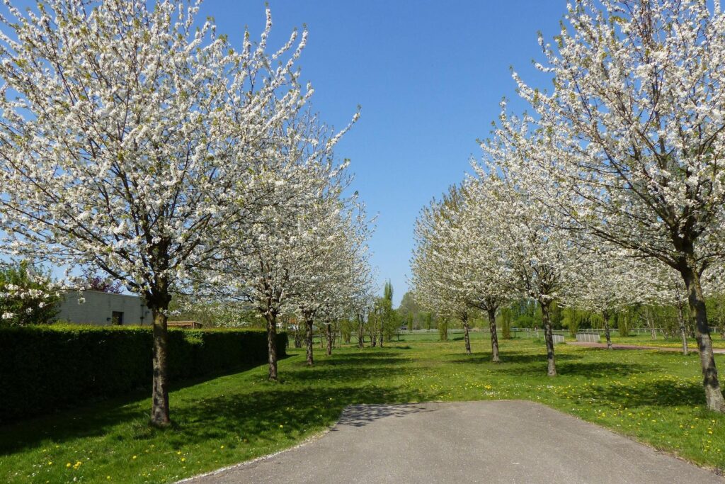 John Grosmanstraat 5