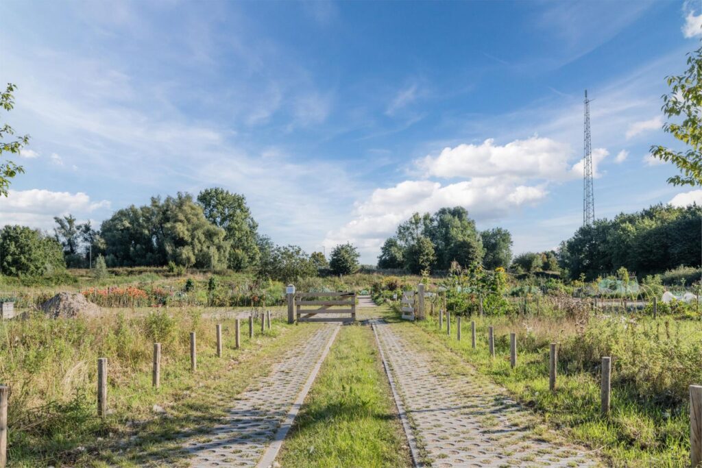 John Grosmanstraat 5