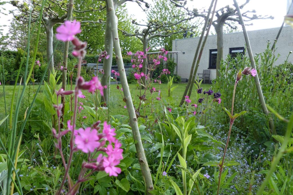 John Grosmanstraat 5