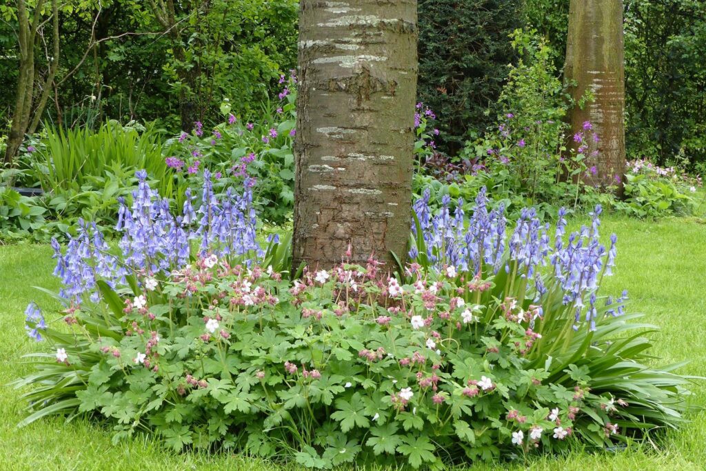 John Grosmanstraat 5