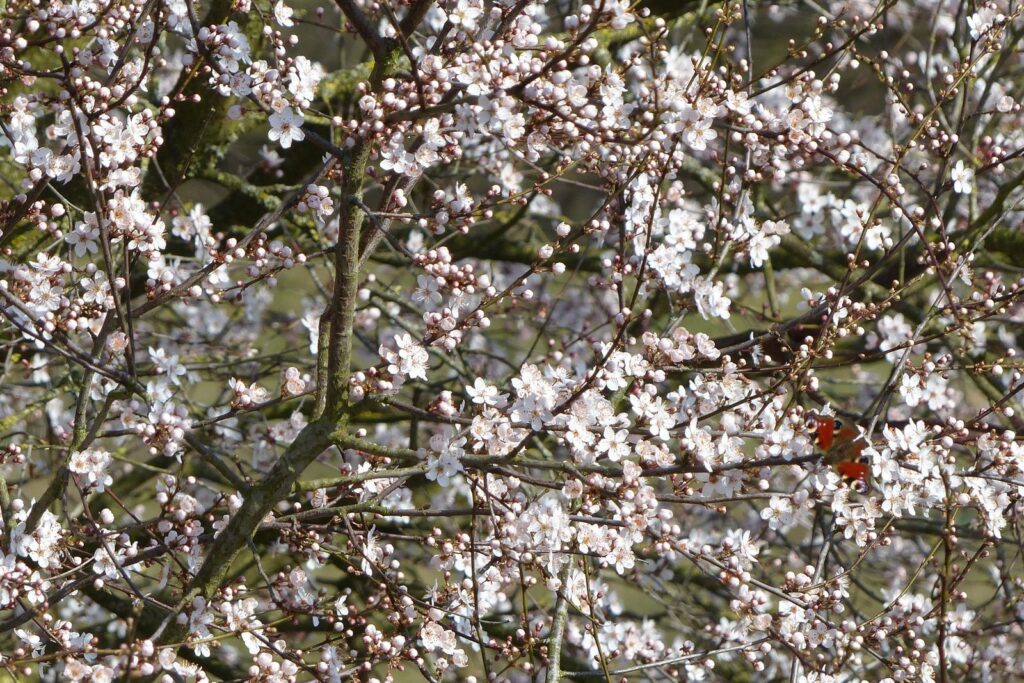 John Grosmanstraat 5