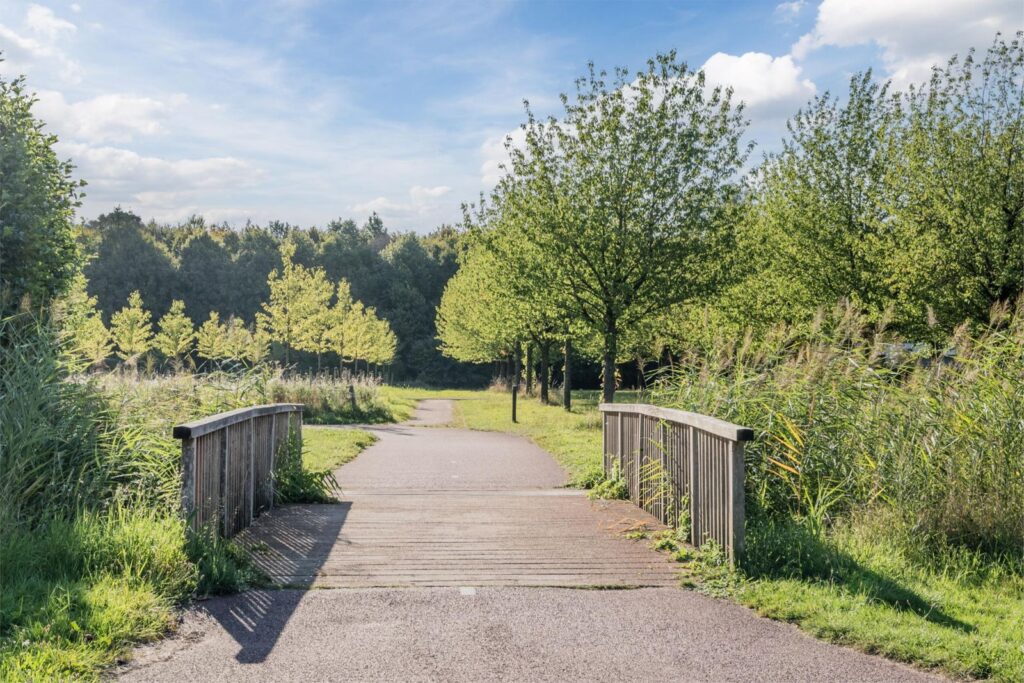 John Grosmanstraat 5