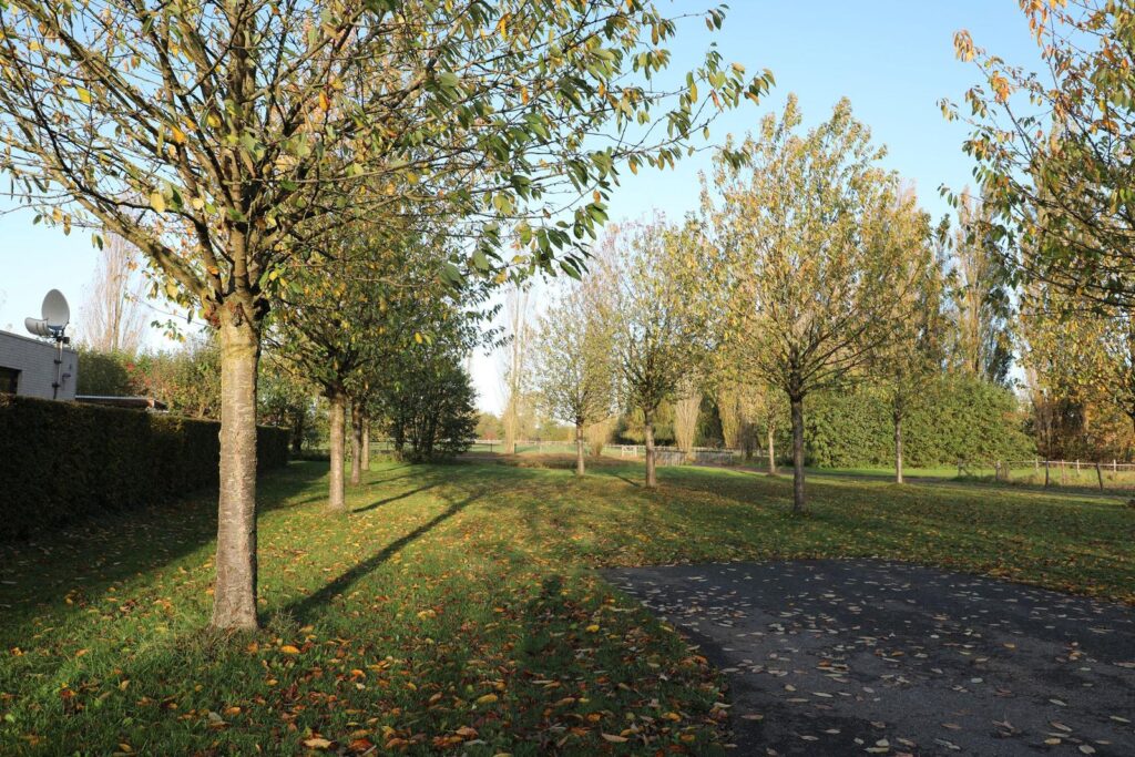 John Grosmanstraat 5