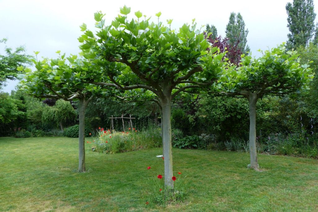 John Grosmanstraat 5