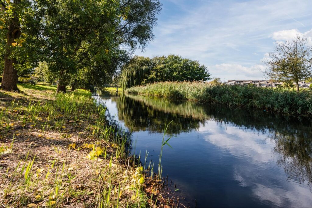 Divertimentostraat 34