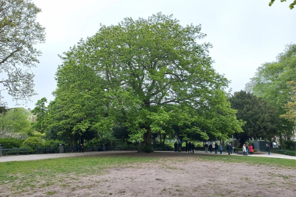 Plantage Parklaan 18