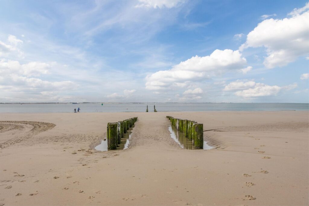 Boulevard Bankert 498