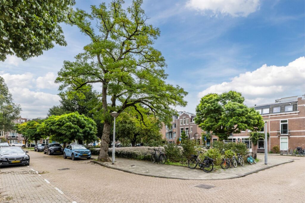 Theophile de Bockstraat 3A2
