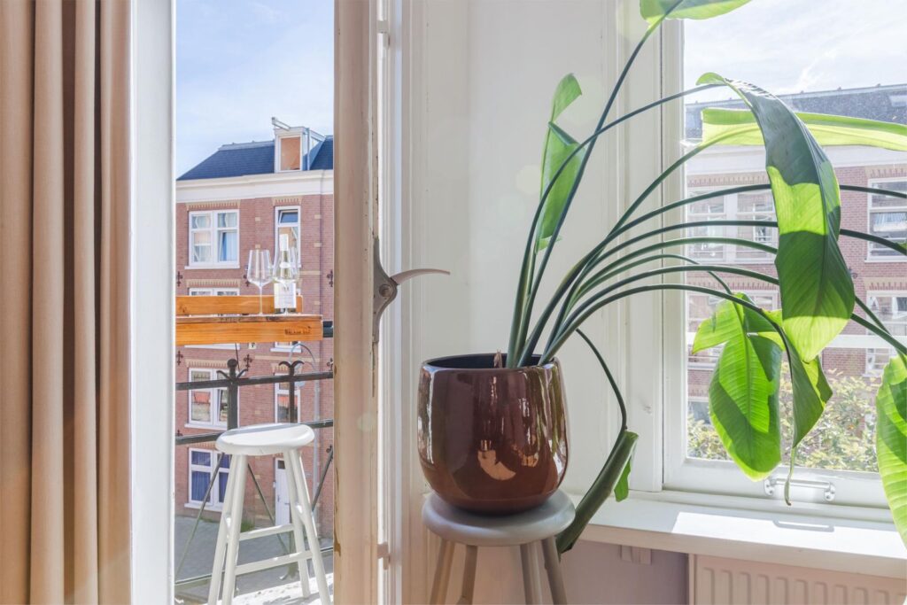 Tolstraat 1252