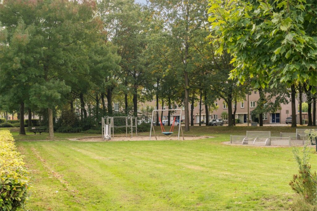Atlasvlinder 20