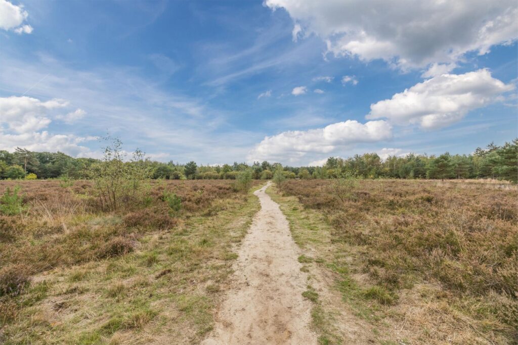 Witbrantlaan West 29