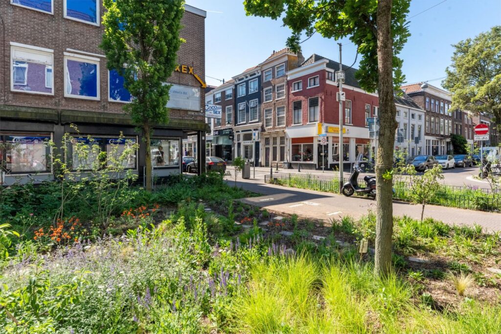 Boekhorststraat 147B