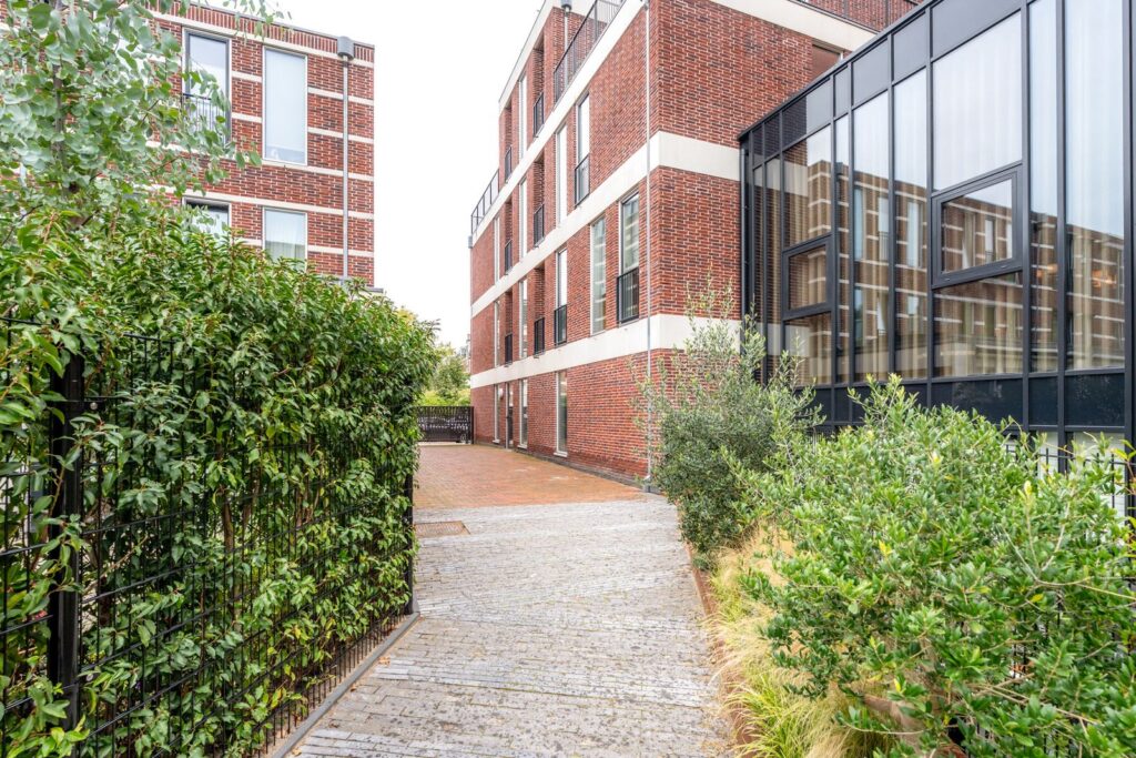 F.C. Dondersstraat 145