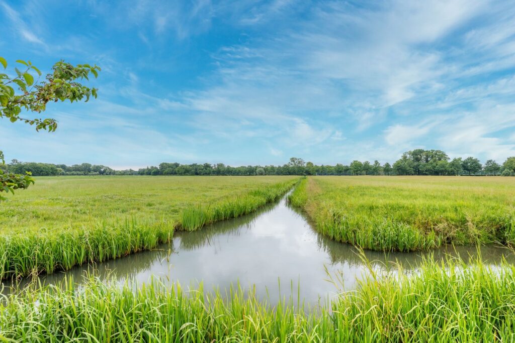 Polderweg 4