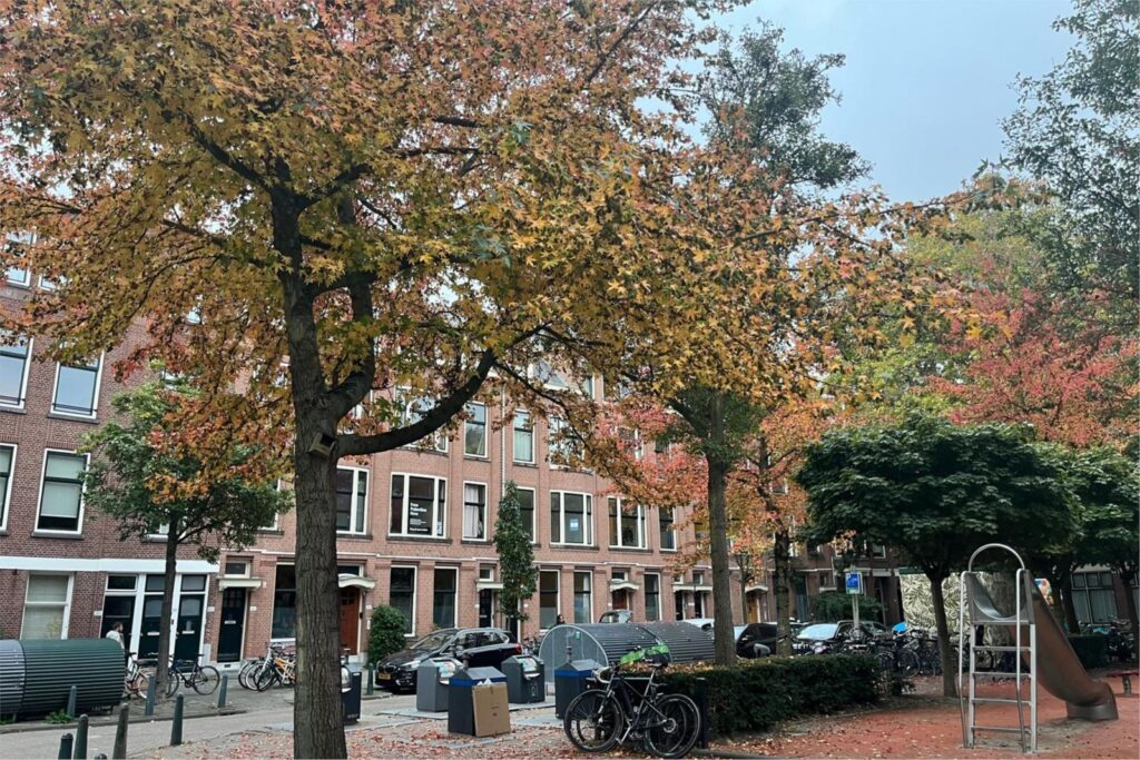 Van Weelstraat 36A