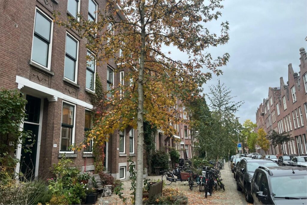 Van Weelstraat 36A