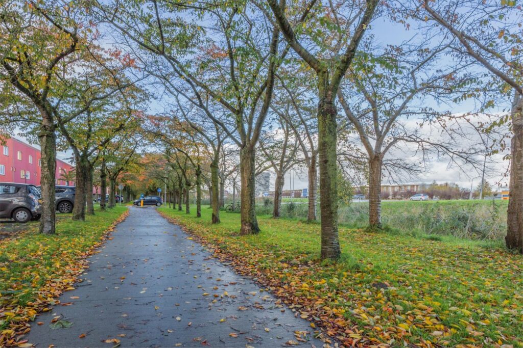 Terracottastraat 106