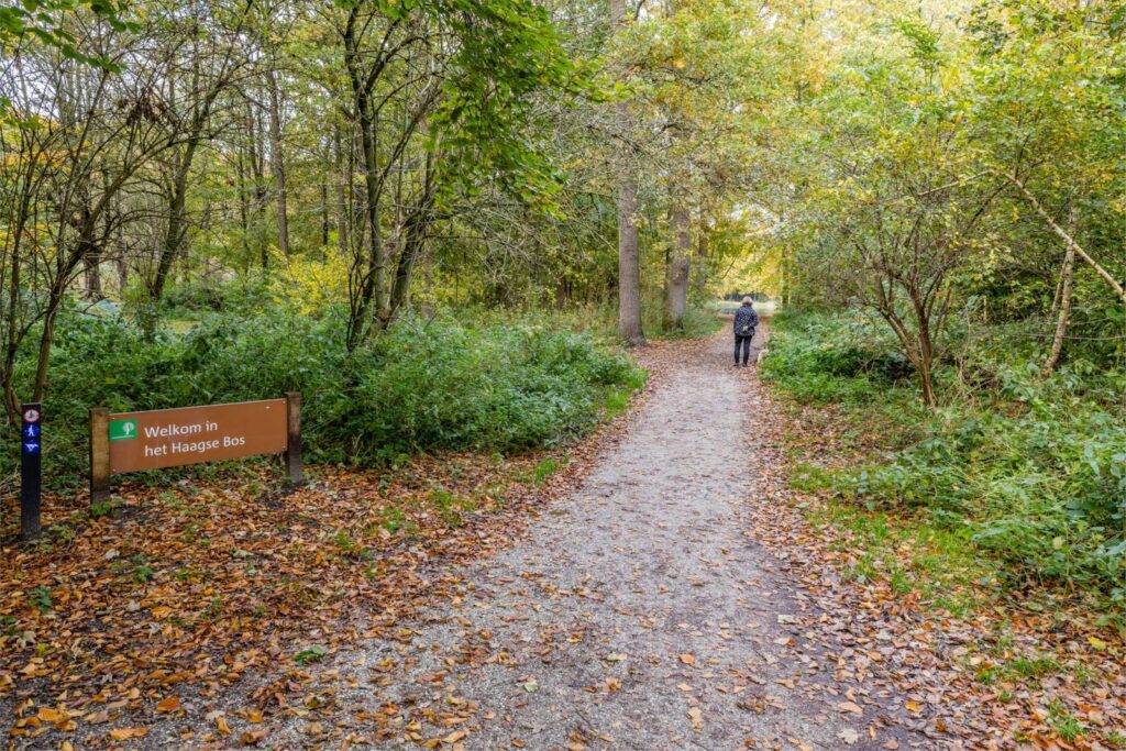 Bezuidenhoutseweg 351A