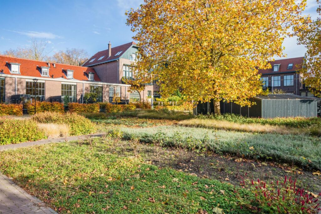 Willem ten Rijnestraat 12