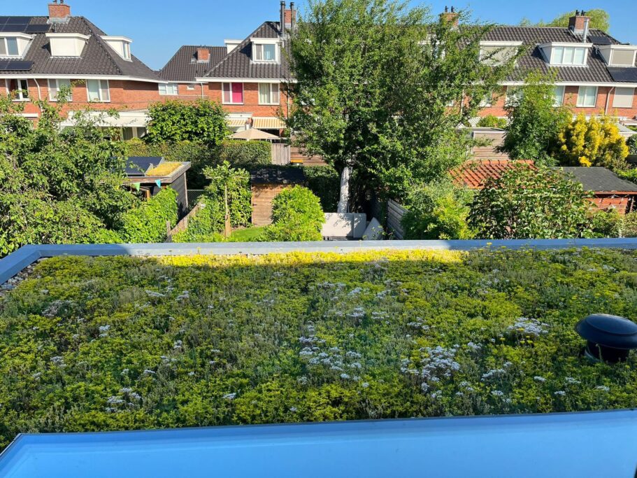 Burgemeester Egginkstraat 28