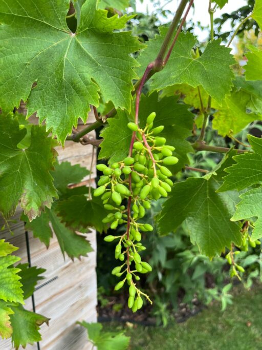 Burgemeester Egginkstraat 28