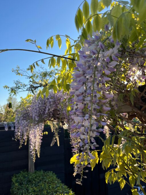 Burgemeester Egginkstraat 28