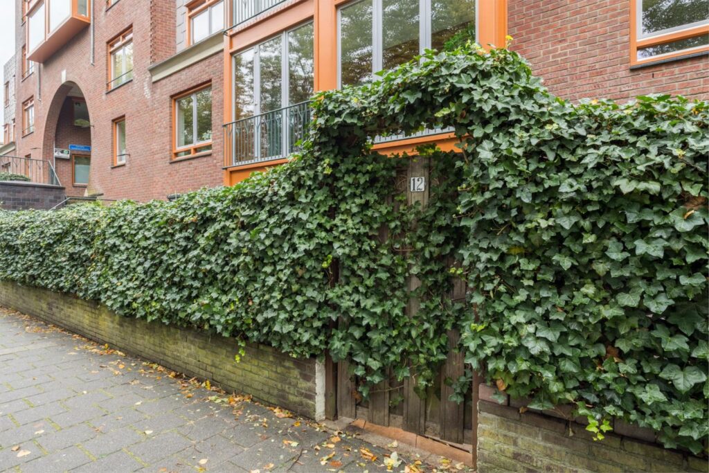 Noordelijke Parallelweg 12