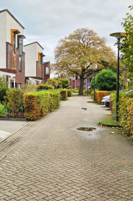 Alexander Voormolenstraat 10