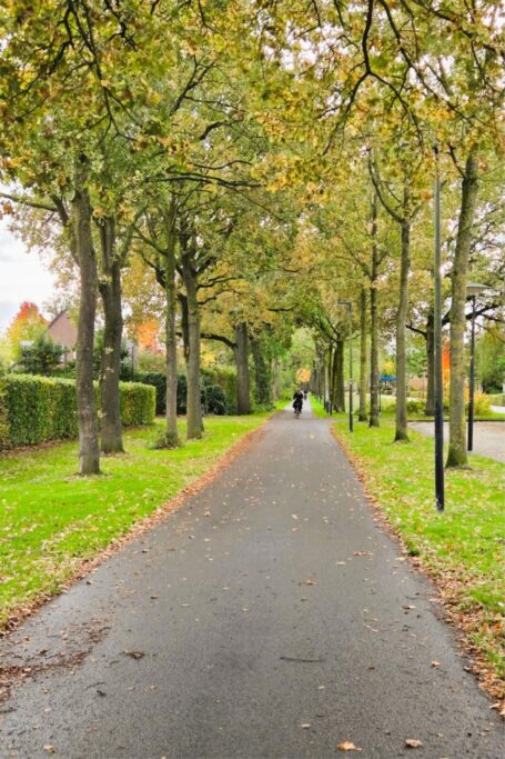 Alexander Voormolenstraat 10