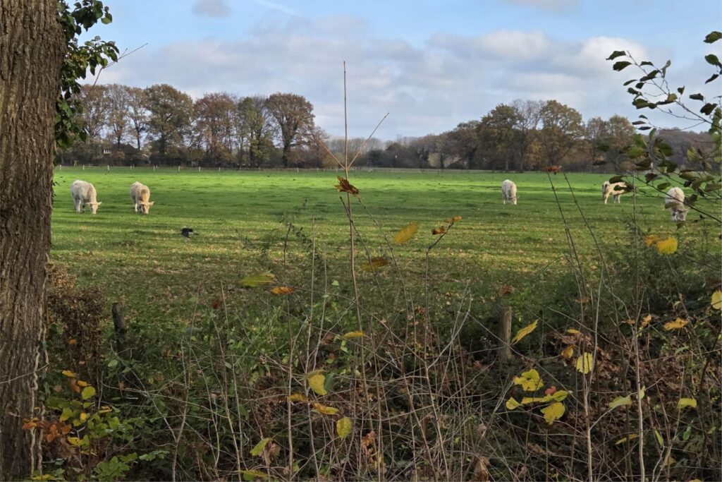 Alexander Voormolenstraat 10