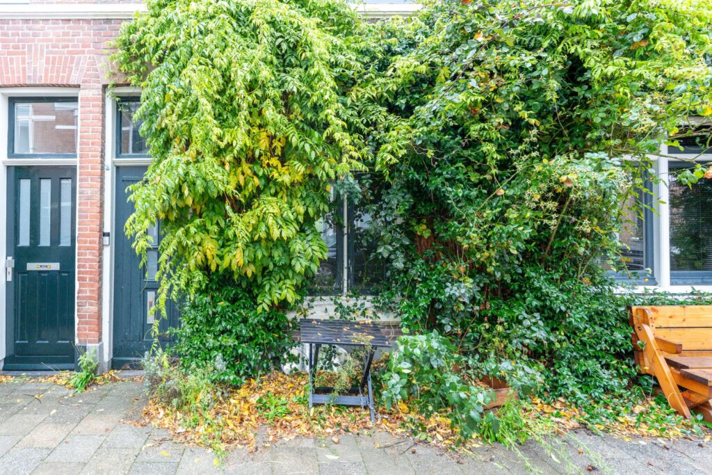 Bollenhofsestraat 76