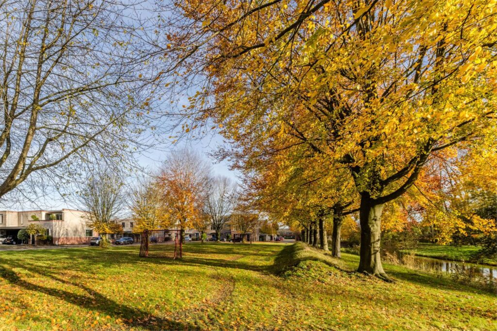 Simon de Vliegerhage 125