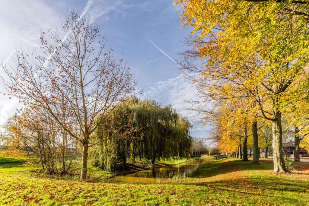 Simon de Vliegerhage 125