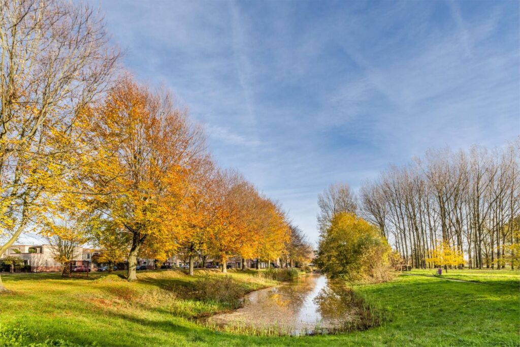 Simon de Vliegerhage 125