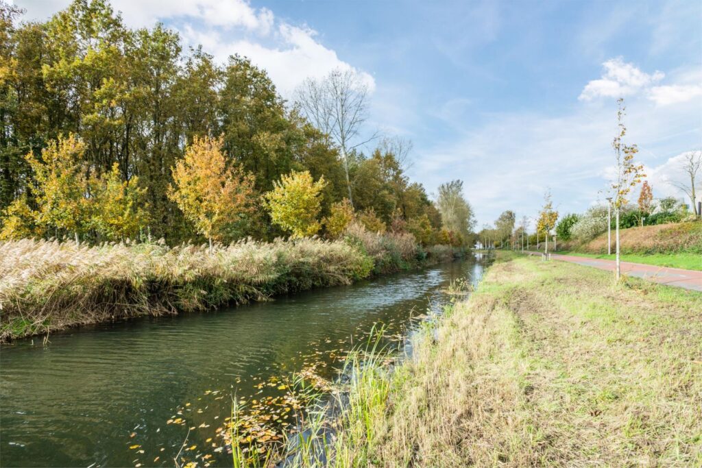 Hartog Stibbestraat 1