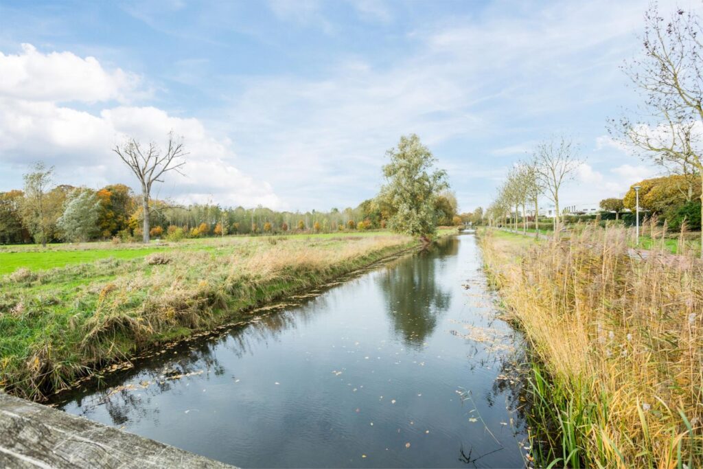 Hartog Stibbestraat 1