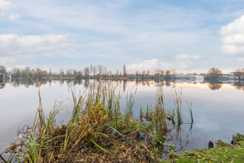 Graaf Adolf van Nassaustraat 24